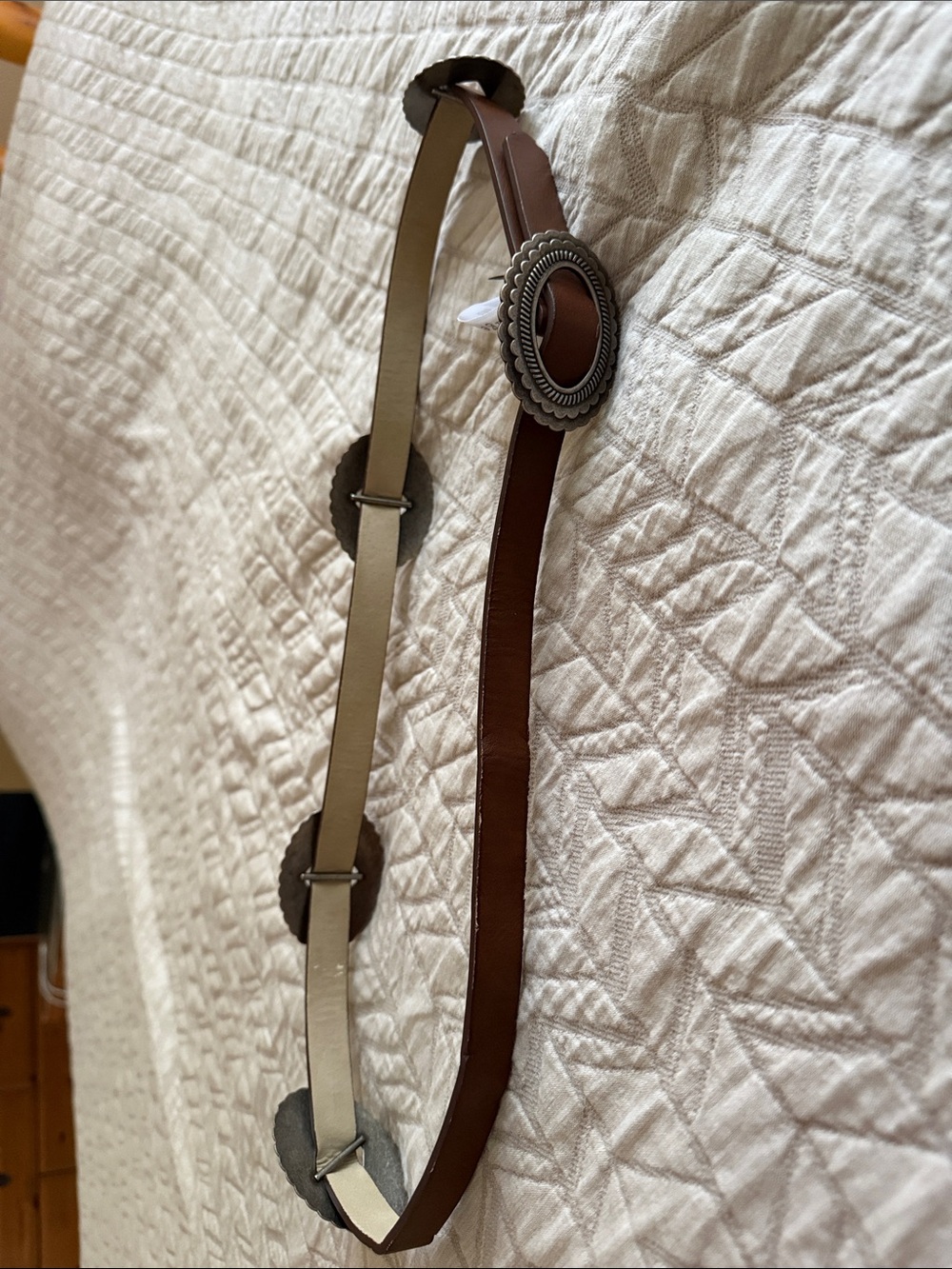 Brown Decorative Strap with Silver Concho Accents